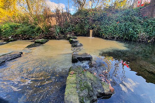 Sewage being dumped in a river